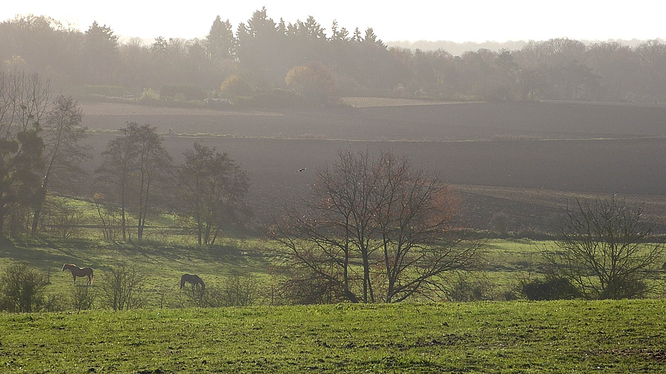 Paysages luzarchois